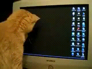 cat pc